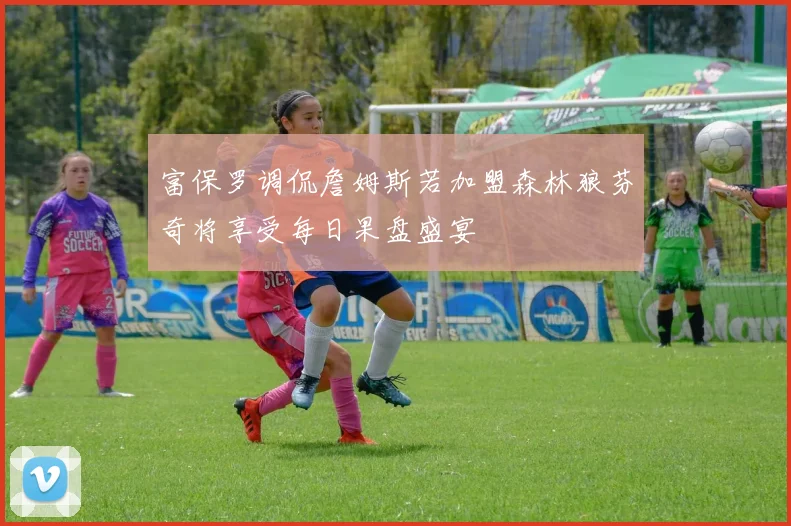 富保罗调侃詹姆斯若加盟森林狼芬奇将享受每日果盘盛宴