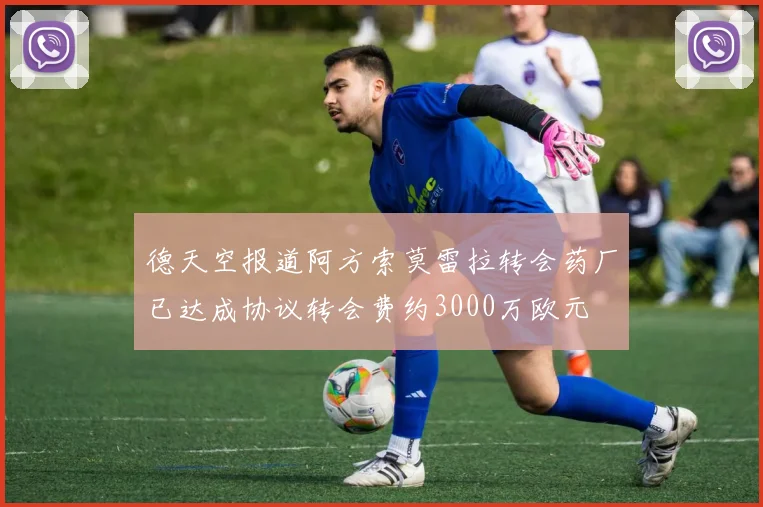 德天空报道阿方索莫雷拉转会药厂已达成协议转会费约3000万欧元