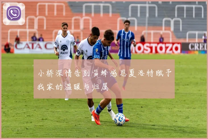 小桥深情告别黄蜂感恩夏洛特赋予我家的温暖与归属